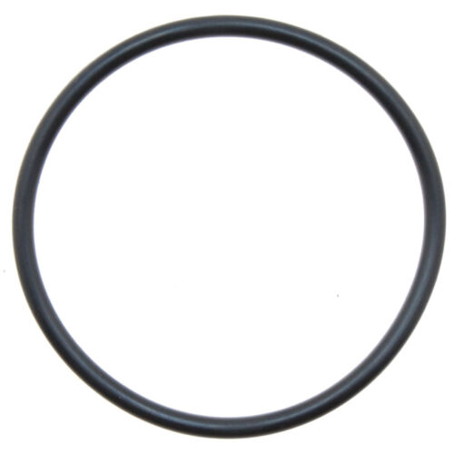 GUARNIZIONE ORING 100